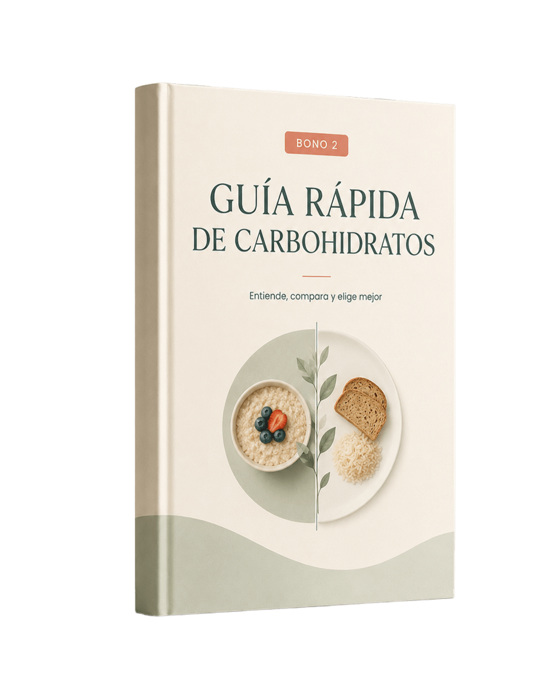 Guía Rápida de Carbohidratos